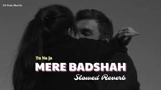 Tu Na Ja Mere Badshah Slowed+Reverb Lofi Music