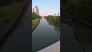 Fishing from a Bridge  An Amazing River Fishing Experience