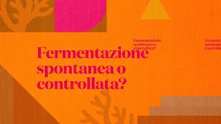 FERMENTAZIONE spontanea o controllata: tutte le differenze