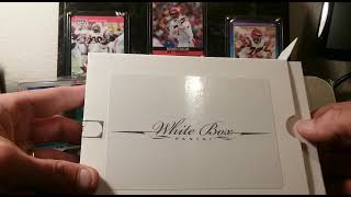 Panini White Box