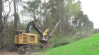 Tracked Harvester Cutting Some Big Pines Along The Interstate!