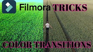 Filmora Tutorial Color Transitions