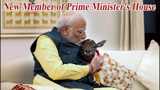 New member in the Prime Minister's house - Modi is playing