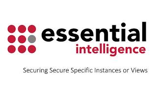 Essential Security - Security Classification of Views and Elements