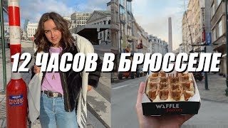 VLOG | ВЛОГ! Съездили в Брюссель на 12 часов!