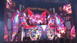 Robo Kitty Excison (The Paradox) in Philly