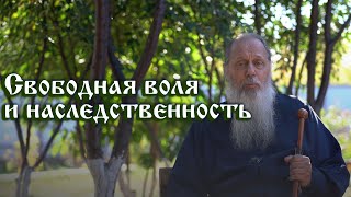 Свободная воля и наследственность