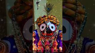 Mu Papa Tu Punya Mu Murtyu Tu Janma #viral #shorts #bhaktishong #religioussong