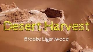 "Desert Harvest" by Brooke Ligertwood (with lyrics)