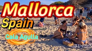 MALLORCA ⛱️ SPAIN 🇪🇸 Cala Agulla 🏖 Cala Ratjada / Walking tour