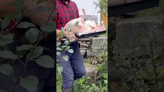 Stock of meat 🐔 for the winter #chicken #villagelife #homestead #farming