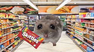 Skittles meme Sad Hamster