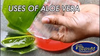 Benefits Of Aloe Vera Gel | Aloe Vera Gel good for Health | Namma Davangere