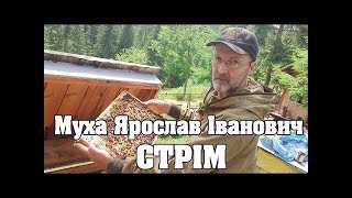 Муха Ярослав. Прикарпатськи екотип бджіл. Стрім