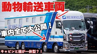 大型トラック　動物輸送の装備とは？！ 内装徹底撮影 NEW ISUZU GIGA