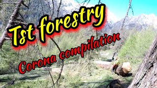 🌲Forstarbeit 🌲Waldarbeit 🌲TsT Forestry Corona Compilation😷