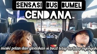 review bus bumel cendana, trayek ponorogo tulungagung yang dinanti banyak orang