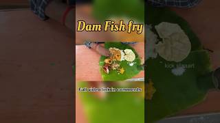 Dam fish fry #trendingvideo #food #foodlover #foodie #foodblogger #foodvlog #bistro #youtube #travel