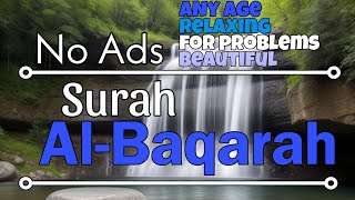 Surah Al-Baqarah with no ads! Super Beautiful