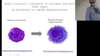 BCT_A_Cellule della risposta immunitaria II e sangue