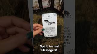 Your Spirit Animal Message🦋 #shorts #tarot