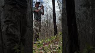 #shortvideo #feedshorts #publiclandhunting #shortfees #turkey #turkeyhunting #ytshorts #ytshort #yt