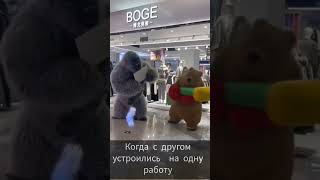 когда с другом устроились на одну работу😂