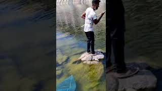 Fishing at Mid Manair Dam for Wallago attu / Pathen Catfish