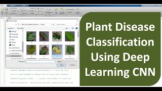 Plant Disease Classification Using Deep Learning CNN | Plant Disease Detection Using Matlab Code