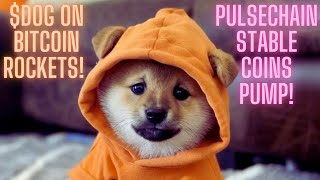 $DOG On Bitcoin Rockets! Pulsechain Stable Coins Pump!