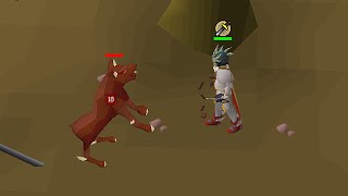 Hunting Gargoyle Task / Here to chill & chat