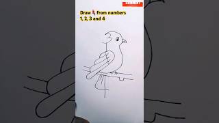 How to draw a parrot bird from numbers 1, 2, 3 and 4 #arttutorial Draw easy for competition