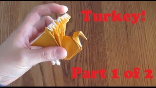 Turkey - Jun Maekawa [(Tutorial) Part 1 of 2]