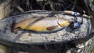 Foreļsezona 2018 - Strauta forele. Ручьевая форел. Brown trout.