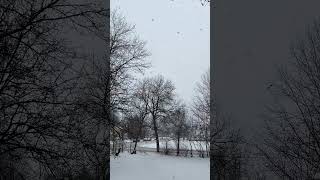 Snow huge flakes Minnesota March beautiful lovely #doinglittle