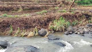 NATURAL VILLAGE IN INDONESIA PURWASARI PART 2