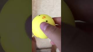 Dropping my chick ball in slow motion