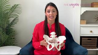 What does the pelvic floor do?