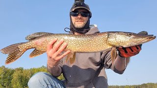 Muskies, Pike, Sturgeon and Bass