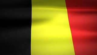 BELGIUM FLAG VJ