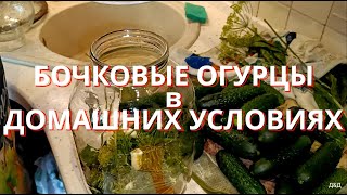 Бочковые огурцы в домашних условиях. Огурчики получаться крепкими, хрустящим как из бочки. #рецепты