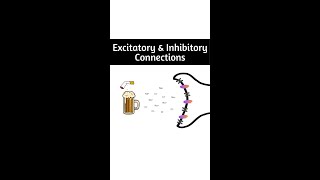 Excitatory vs Inhibitory Neural Connections (nicotine 🚬 vs alcohol 🍻)