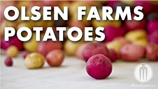 Product Spotlight Video: Olsen Farms Potatoes