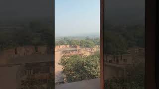 glimpse of Taj #india #tajmahal #yt #nature #travel