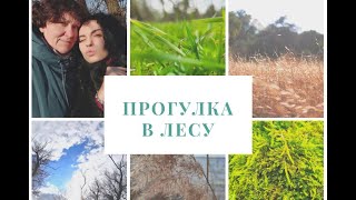 💗 Прогулка в лесу на Юге Украины 💗 Ждем весну, и ловим лучики солнца 🌕