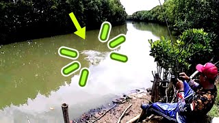 mancing di sungai kecil yang banyak ikannya  #campfishing