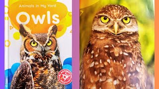 Animals in MY Yard Owls Bedtime Story for Babies, Toddlers, Preschoolers, & Kindergarten Kids |