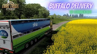 Euro Truck Simulator 2 | BUFFALO DELIVERY | NO COMMENTARY | 4k 60fps gameplay