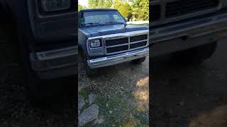 Cummins ramblings