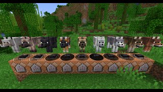 How to Summon Different Types of Wolves in Minecraft!